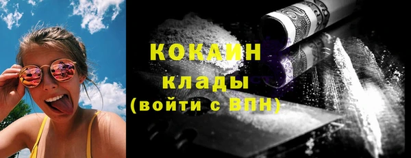 дмт Дмитров