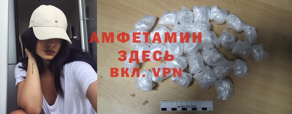 дмт Дмитров