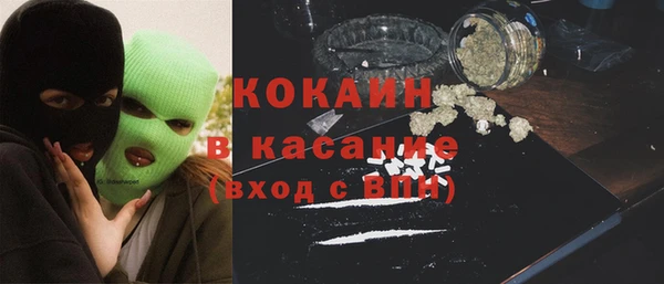 ешки Дмитриев