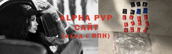 ешки Дмитриев