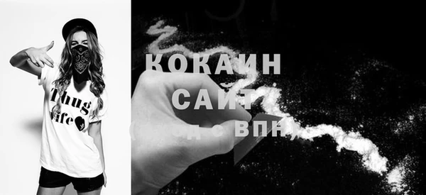 ешки Дмитриев