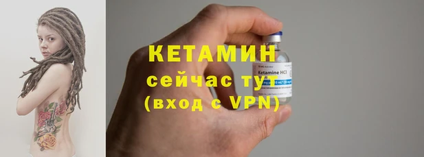 дмт Дмитров