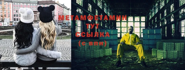 дмт Дмитров