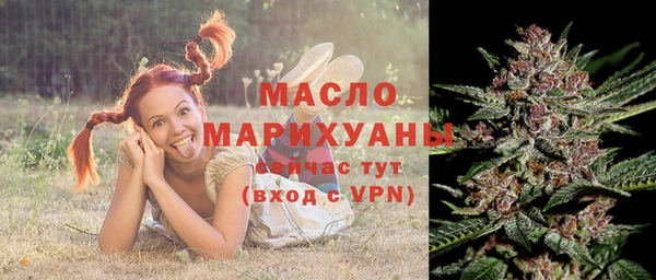 дмт Дмитров