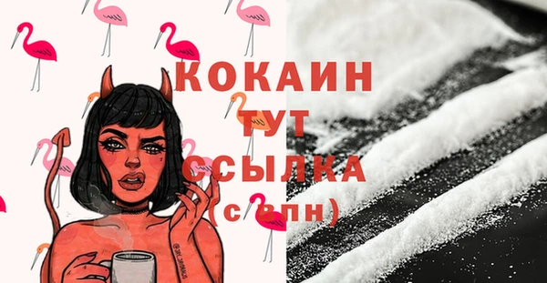 ешки Дмитриев