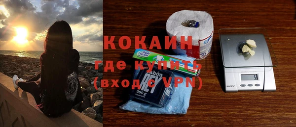 дмт Дмитров