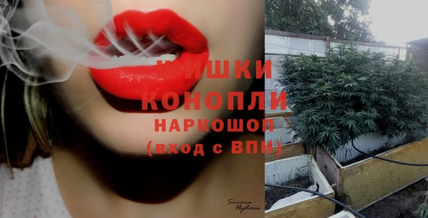 стафф Дмитровск