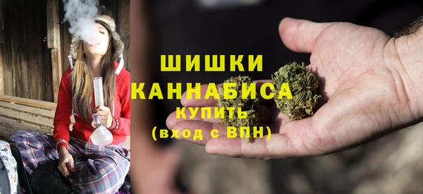 ешки Дмитриев