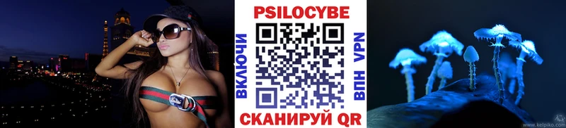Псилоцибиновые грибы Psilocybe  Купить закладки  Сухиничи 